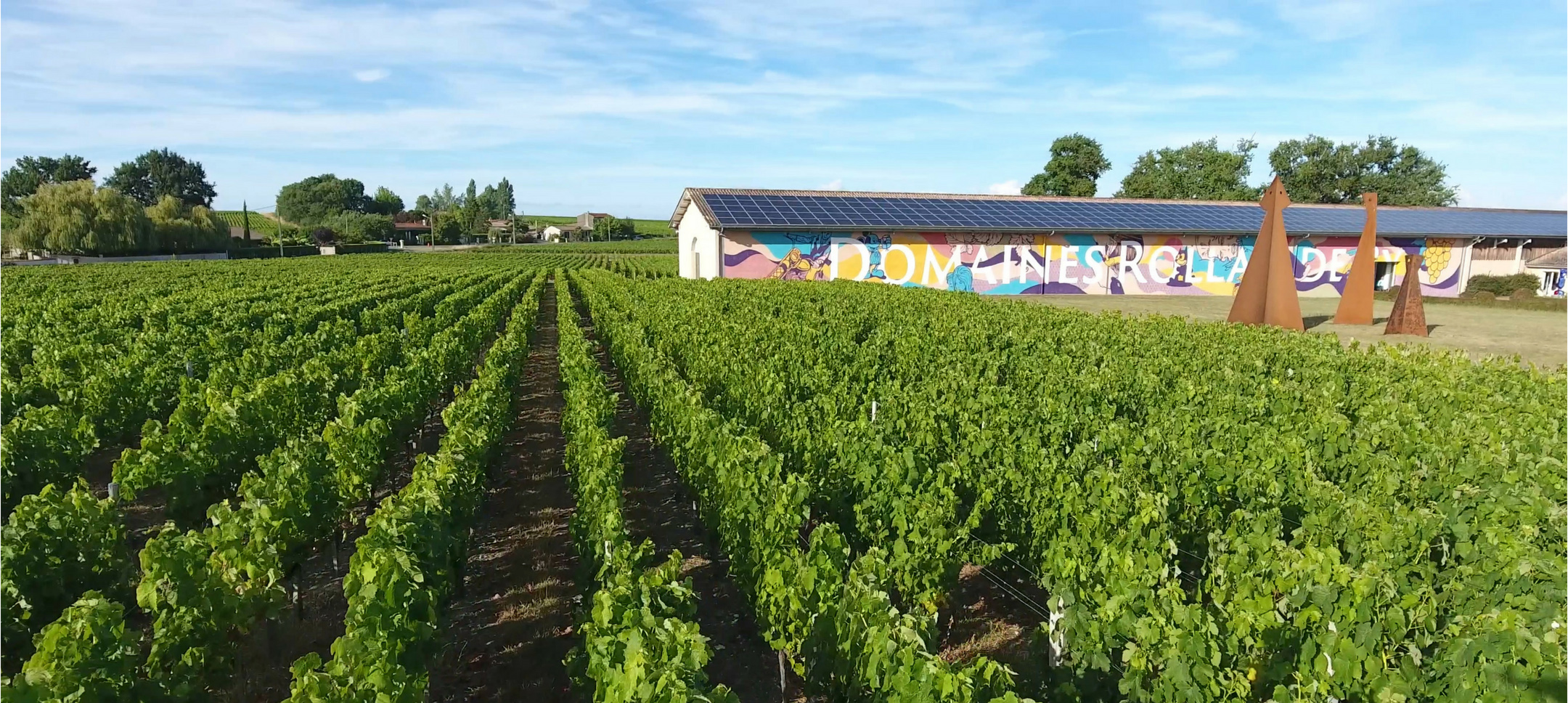 Vue panoramique du vignoble