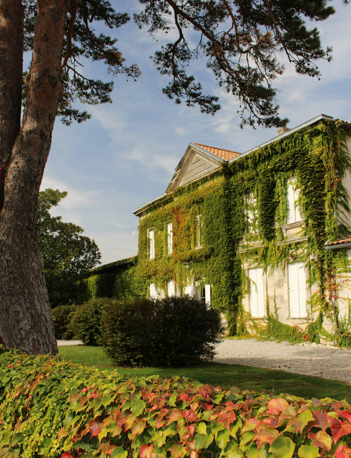 Chateau des Domaines Rollan de By