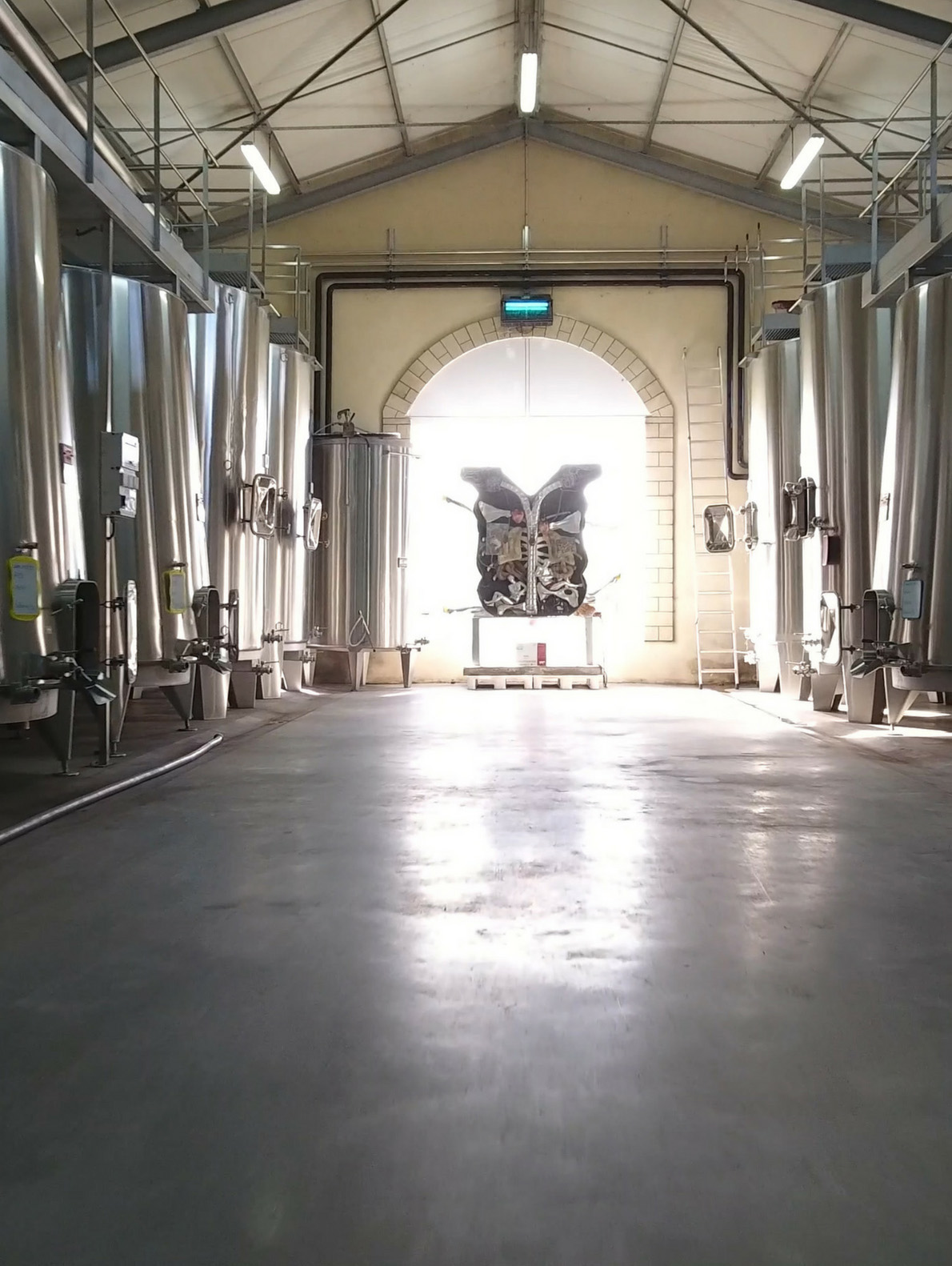 Vue interieure du chai des Domaines Rollan de By